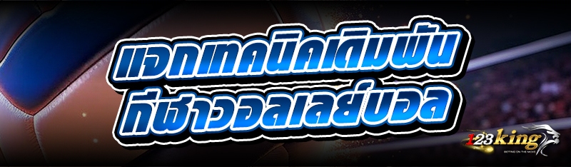 แจกเทคนิคเดิมพัน กีฬาวอลเลย์บอล